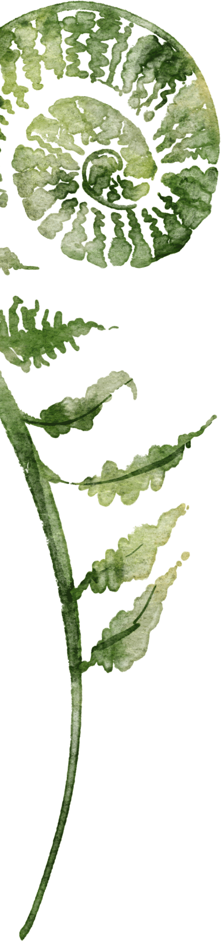 Farn-Anna-Somasgutner